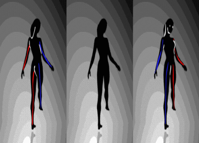 spinning dancer optical illusion explanation